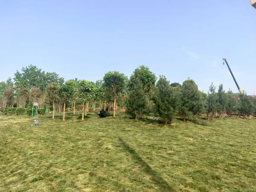 1589765996512738.jpeg 1589765996512738.jpeg