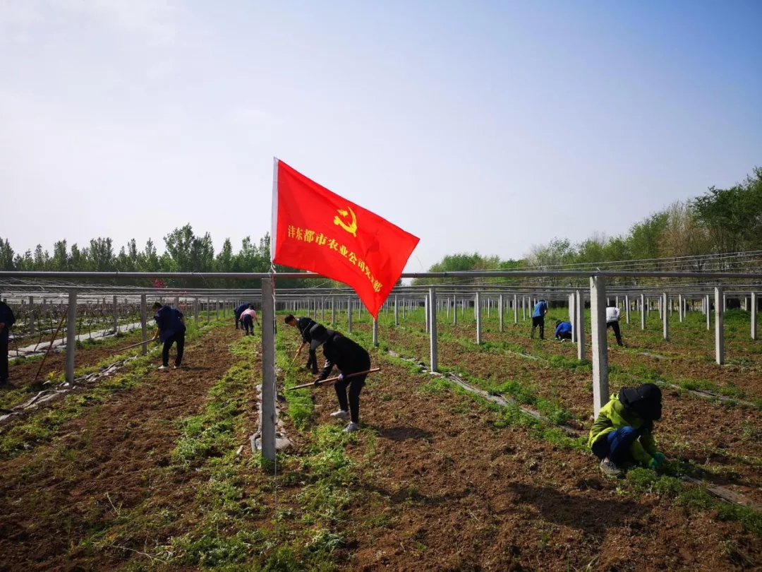 1589766023138873.jpeg 1589766023138873.jpeg