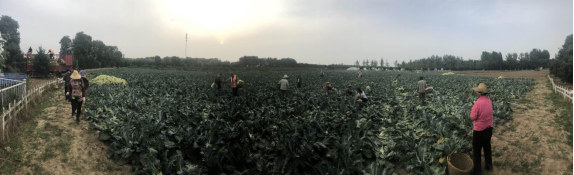 1591084804931463.png image.png