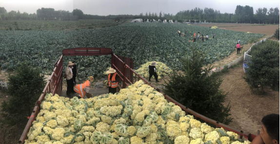 1591084922673563.png image.png