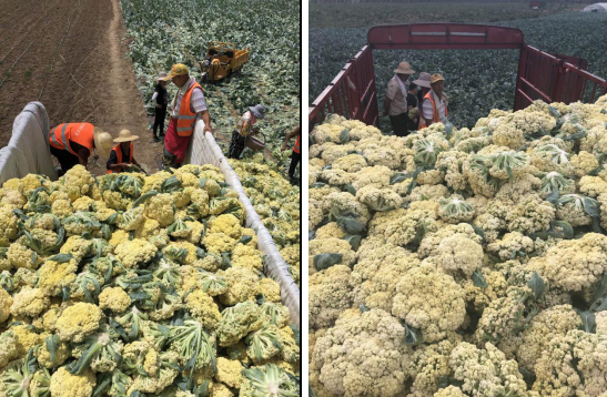 1591085268513453.png image.png