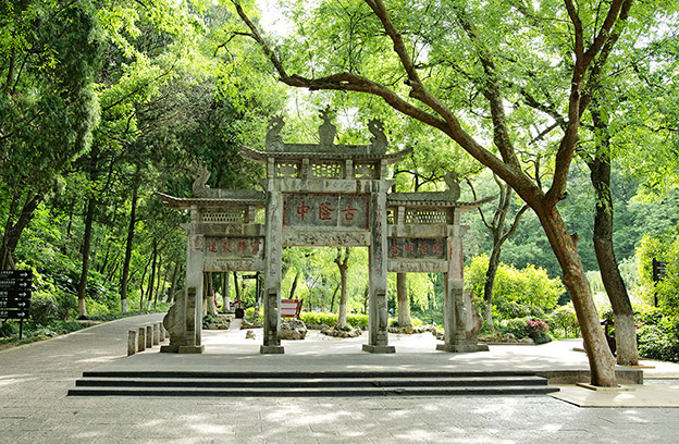 1620355339405327.jpeg 1620355339405327.jpeg