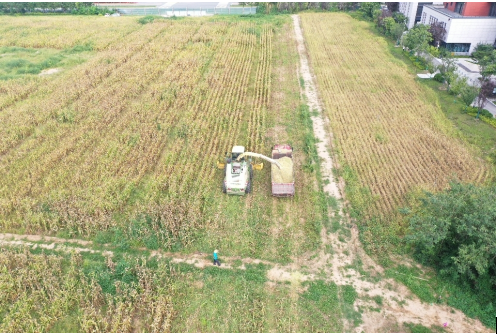 1634713887109934.png image.png