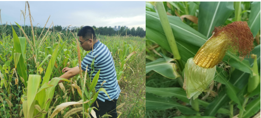 1634713909509729.png image.png