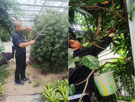 1634715280941192.png image.png