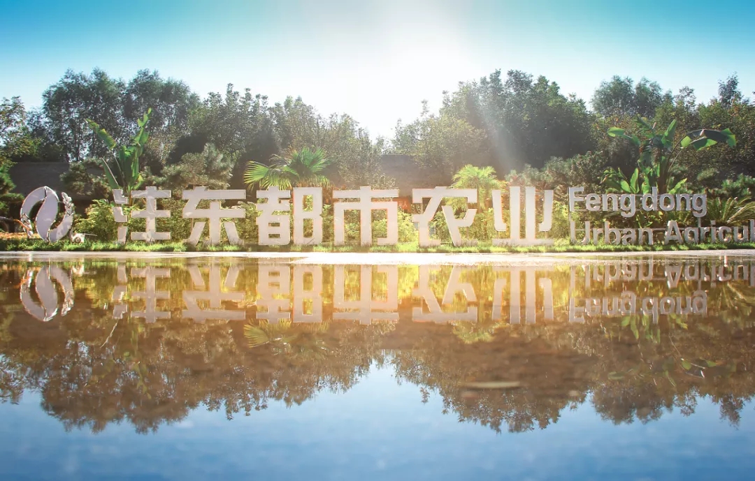 1645147520187109.jpeg 1645147520187109.jpeg