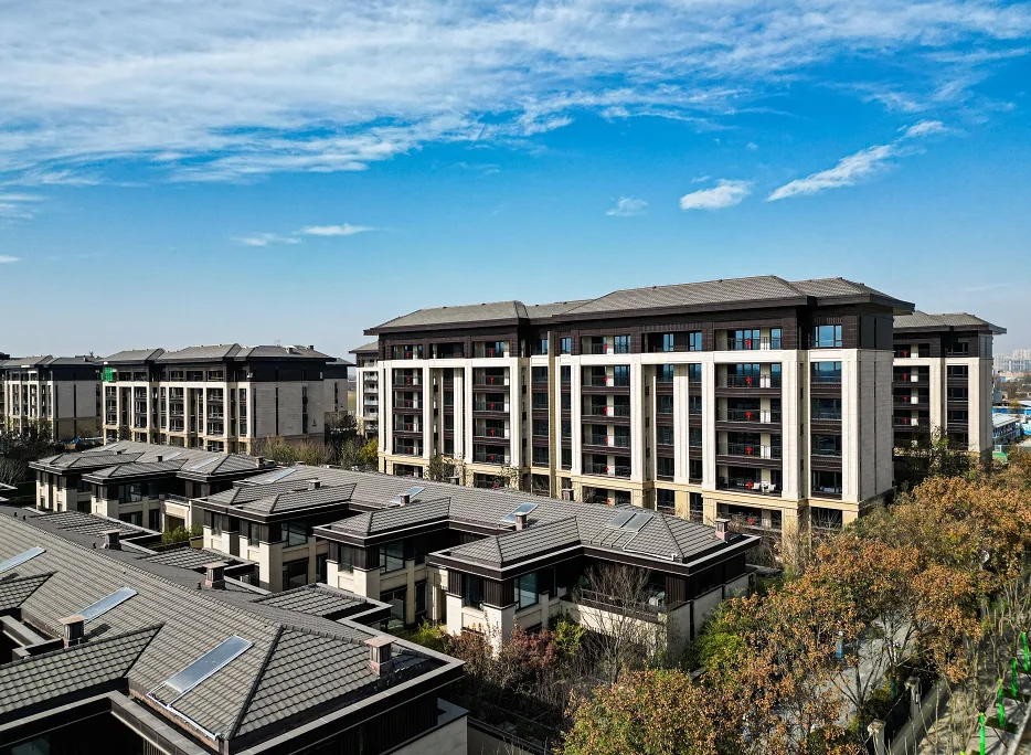 1713405992216432.jpeg 1713405992216432.jpeg