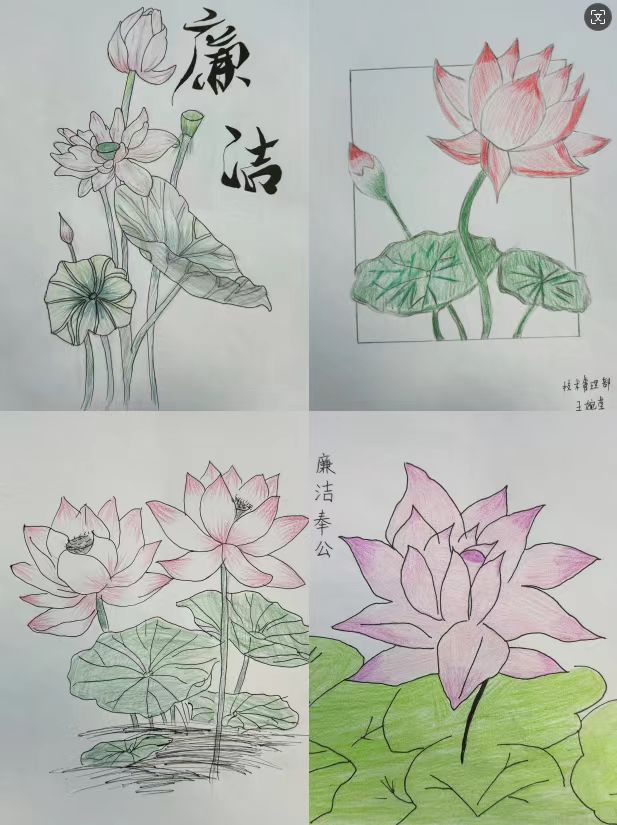 1718795516834076.jpeg 1718795516834076.jpeg