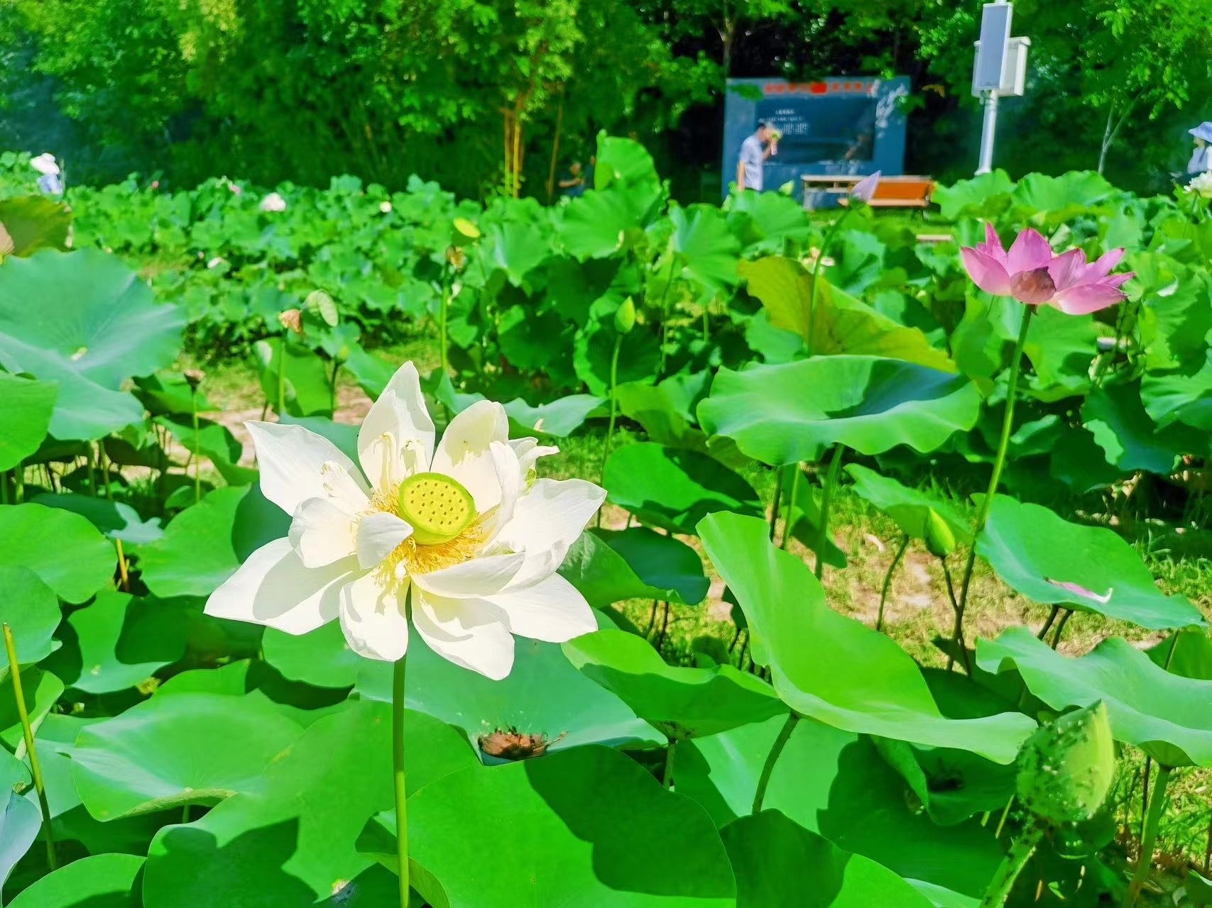 1718795713974625.jpeg 1718795713974625.jpeg