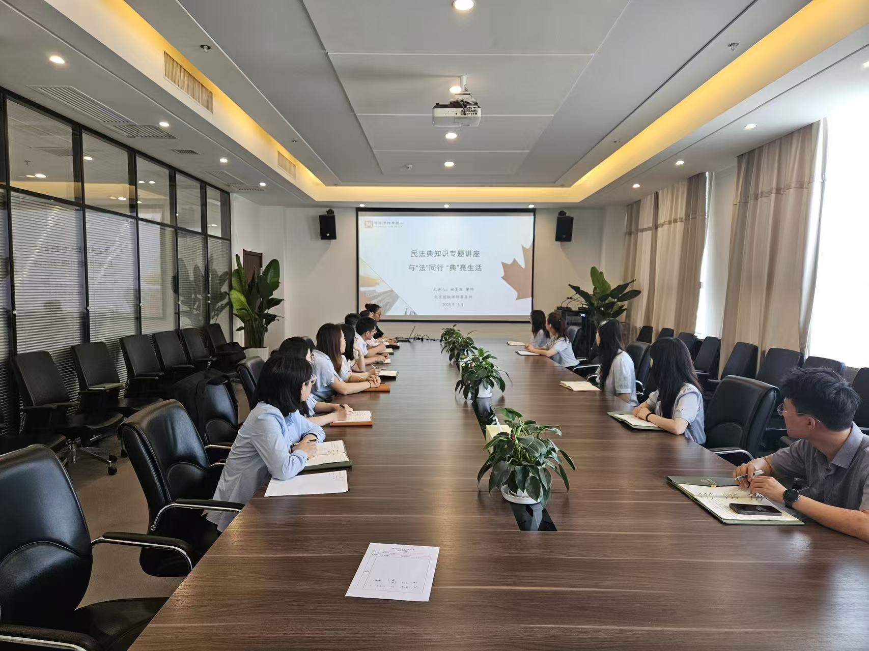 1749111143129818.jpeg 1749111143129818.jpeg